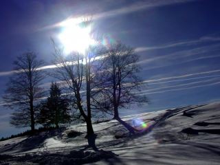 Погода в Луганске на  февраля С