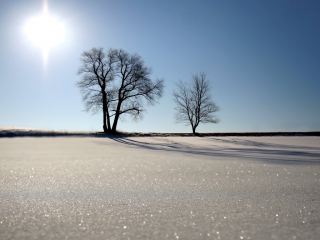 Погода в Луганске солнечно