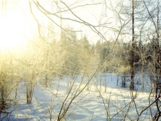 Погода в Луганске на последний день зимы