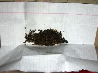 Семья из Луганской области наладила бизнес по продаже наркотиков