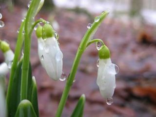 Погода в Луганске на первый день весны