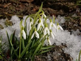 Погода в Луганске днем потеплеет до С