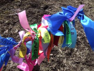 Луганские студенты сделали солнечный подарок своему университету фото