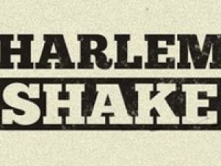 Как вы относитесь к эпидемии Harlem Shake в Луганске  Опрос