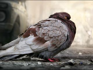 Погода в Луганске на  марта холодает