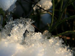 Погода в Луганске пасмурно