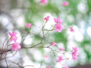 Весна не придет в Украину в ближайшее время