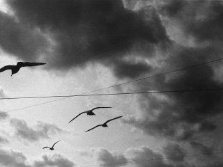 Погода в Луганске на  марта