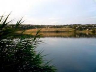 Водоемы Луганской области скоро станут ядовитыми