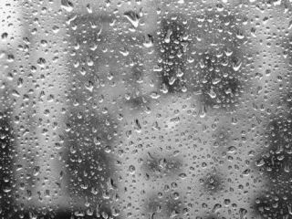 Погода в Луганске на  марта дождь