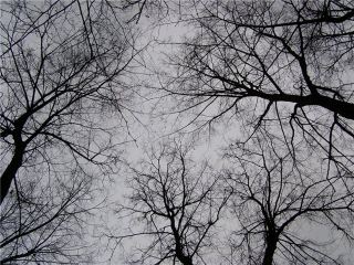 Погода в Луганске С