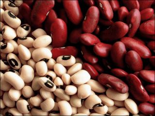 Рецепты к Великому посту паштет из фасоли