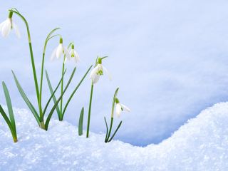 Морозы в Украине продержатся до конца марта