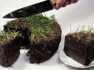 Чиновник из Луганской области обвиняется в крупных земельных махинациях