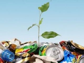 Быть или не быть экологическим выплатам