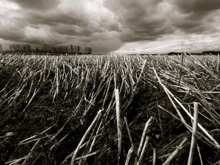 Погода в Луганске ветрено