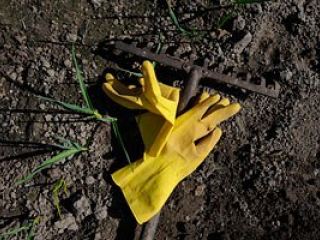 На Луганщине фермер присвоил  гектара земли