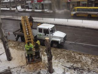 В Луганске дают новую жизнь старым веткам