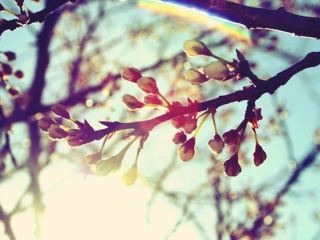 Погода в Луганске С