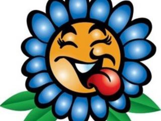 Google, Twitter и Youtube подготовили сюрприз к Первому апреля