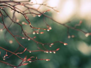 Синоптики рассказали о погоде в первую неделю апреля