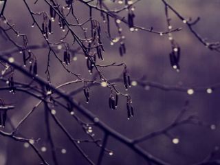 Погода в Луганске на  апреля