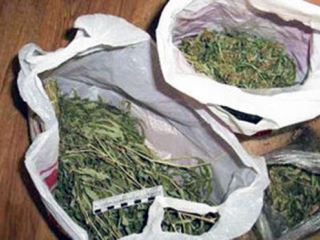 Бизнеследи из Луганской области поймали с  кг марихуаны