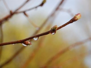 Погода в Луганске на  апреля
