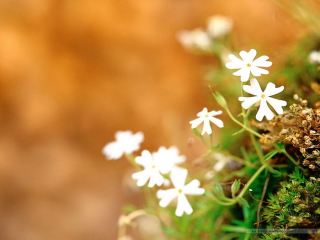 Погода в Луганске на  апреля С