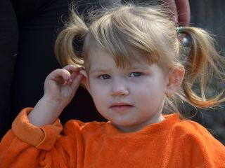 Милицейская собака помогла найти пропавшую летнюю девочку фото