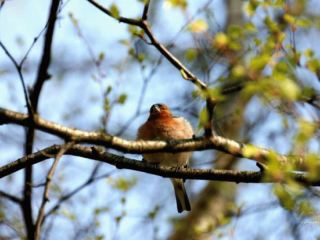 Погода в Луганске на  апреля С