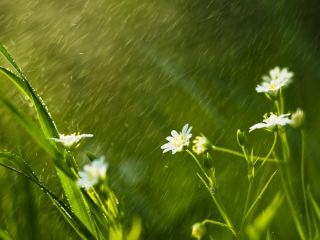 Погода в Луганске на выходные  и  апреля