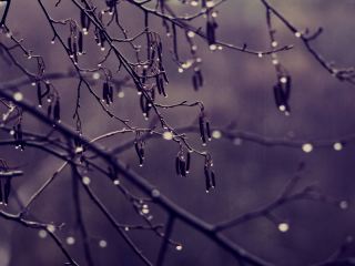 Погода в Луганске С