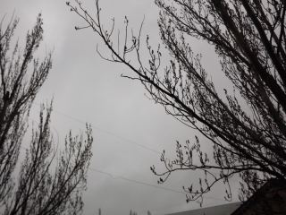 Погода в Луганске С