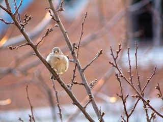 Похолодание продлится еще  дня