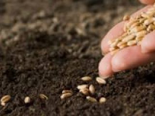 Погодные условия благоприятны для весеннеполевых работ