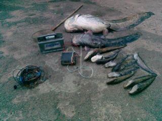 Количество браконьеров уменьшилось