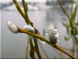 Погода в Луганске на  апреля