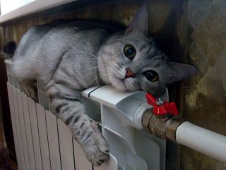 апреля в Луганске отключат отопление