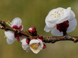 Погода в Луганске С