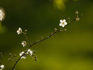 Погода в Луганске на выходные  и  апреля