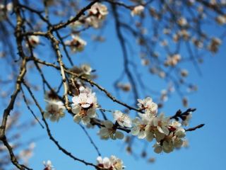 Погода в Луганске на  апреля
