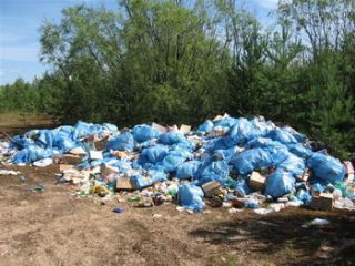 стихийных свалок выявили в Луганской области