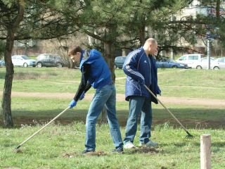 Всемирный день рокнролла в Украине встретили большим зеленым субботником