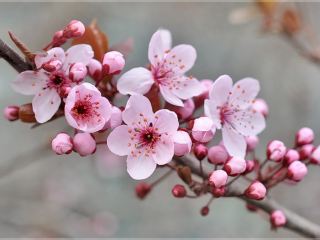 Погода в Луганске на  апреля