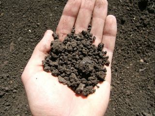 Новая фишка Луганщины  земля с ароматом бензина