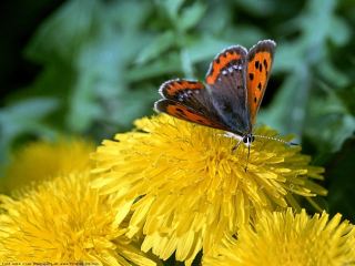 Погода в Луганске на  апреля