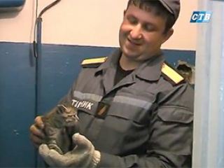В Северодонецке спасатели вызволили котенка из каменной ловушки видео