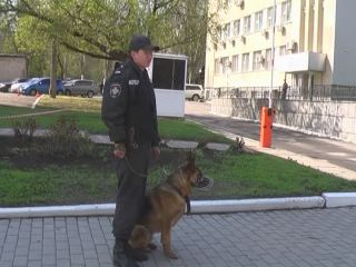 В луганском суде бомбу не нашли Теперь ищут шутника