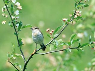 Погода в Луганске на  апреля
